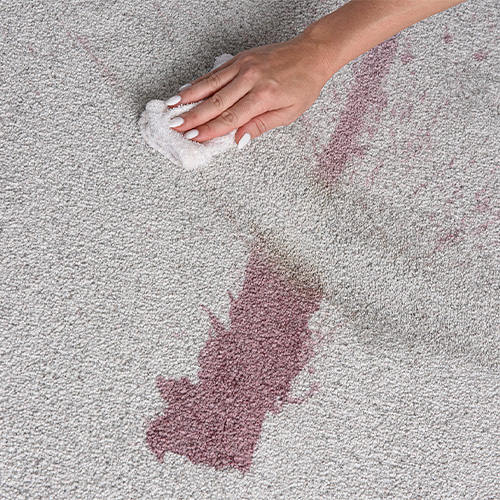 Hand cleaning a red stain from light-colored carpet.