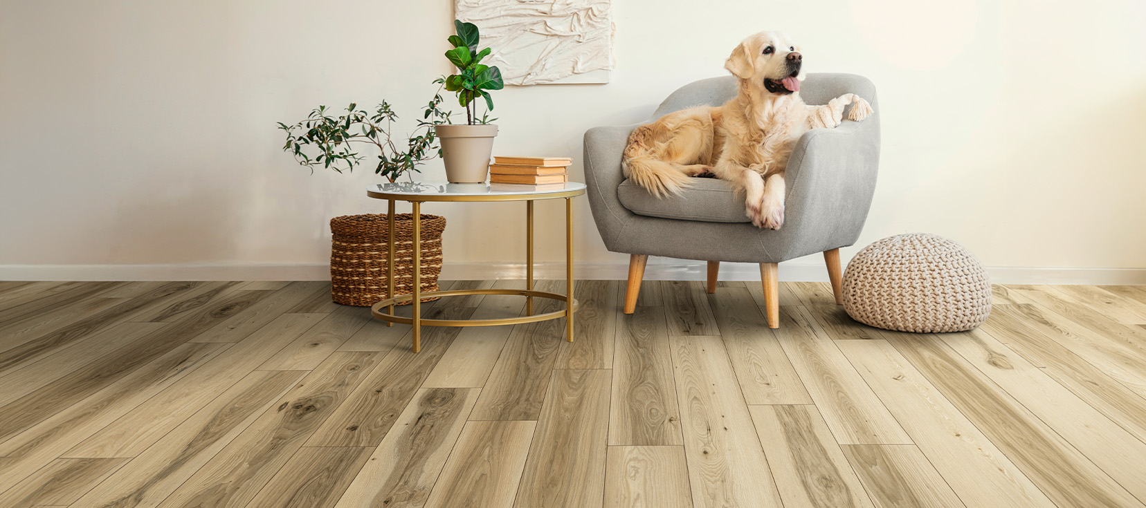 Embellish flooring in Acadia, a warm natural wood look, shown in a bright living space with a golden retriever relaxing in an armchair.